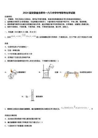 2024届安徽省合肥市一六八中学中考联考化学试题含解析.doc
