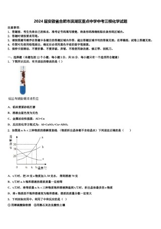 2024届安徽省合肥市滨湖区重点中学中考三模化学试题含解析.doc