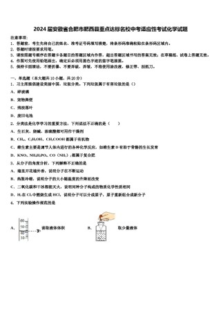 2024届安徽省合肥市肥西县重点达标名校中考适应性考试化学试题含解析.doc