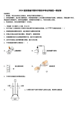2024届安徽省宁国市宁阳校中考化学最后一模试卷含解析.doc
