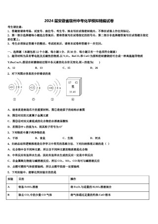 2024届安徽省宿州中考化学模拟精编试卷含解析.doc