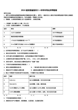 2024届安徽省宿州十一中学中考化学押题卷含解析.doc