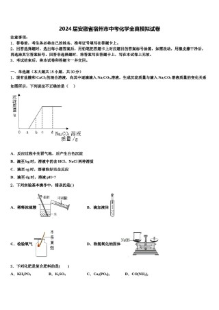 2024届安徽省宿州市中考化学全真模拟试卷含解析.doc