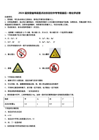 2024届安徽省寿县重点达标名校中考考前最后一卷化学试卷含解析.doc