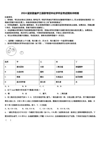 2024届安徽省庐江县联考初中化学毕业考试模拟冲刺卷含解析.doc