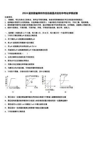 2024届安徽省滁州市定远县重点名校中考化学模试卷含解析.doc