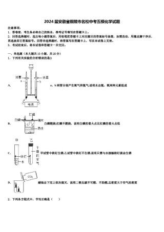 2024届安徽省铜陵市名校中考五模化学试题含解析.doc
