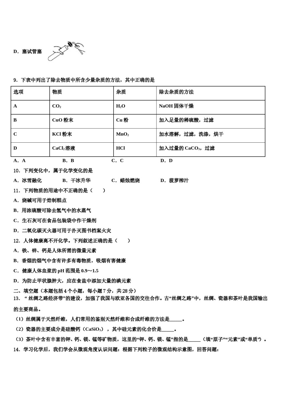 2024届安徽省阜阳市郁文中学中考化学最后一模试卷含解析.doc_第3页