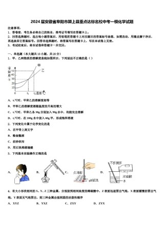 2024届安徽省阜阳市颍上县重点达标名校中考一模化学试题含解析.doc