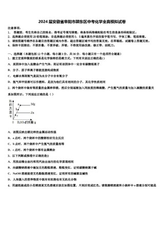 2024届安徽省阜阳市颍东区中考化学全真模拟试卷含解析.doc