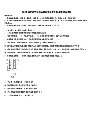 2024届安徽芜湖无为县联考中考化学全真模拟试题含解析.doc
