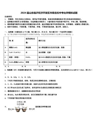 2024届山东临沂经济开发区市级名校中考化学模拟试题含解析.doc