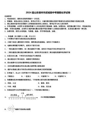 2024届山东德州市武城县中考猜题化学试卷含解析.doc
