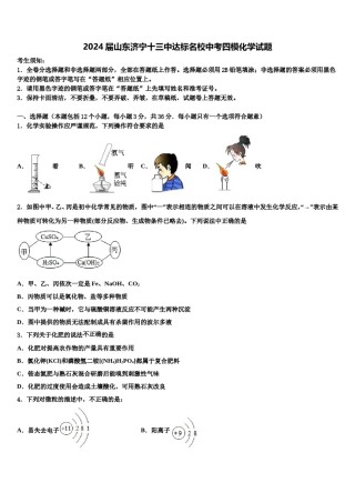 2024届山东济宁十三中达标名校中考四模化学试题含解析.doc
