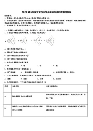 2024届山东省东营市中考化学最后冲刺浓缩精华卷含解析.doc