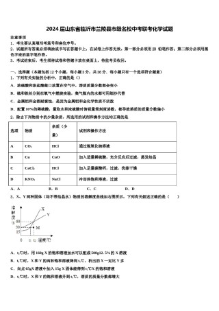 2024届山东省临沂市兰陵县市级名校中考联考化学试题含解析.doc