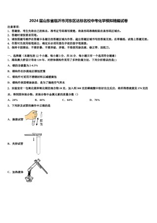 2024届山东省临沂市河东区达标名校中考化学模拟精编试卷含解析.doc