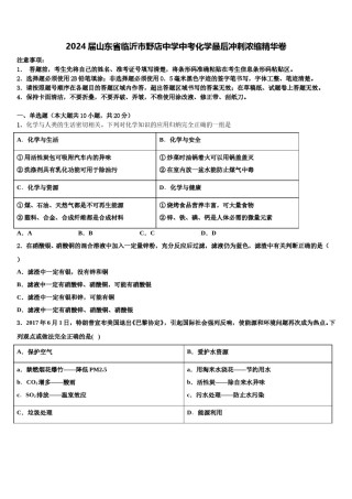 2024届山东省临沂市野店中学中考化学最后冲刺浓缩精华卷含解析.doc