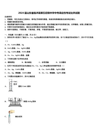 2024届山东省临沭县第五初级中学中考适应性考试化学试题含解析.doc