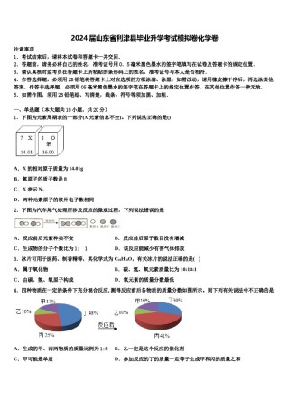 2024届山东省利津县毕业升学考试模拟卷化学卷含解析.doc
