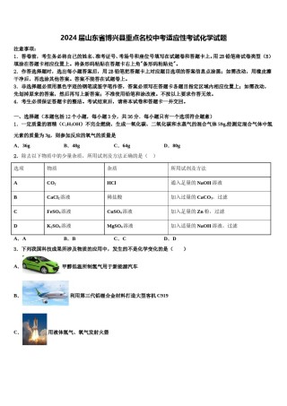 2024届山东省博兴县重点名校中考适应性考试化学试题含解析.doc