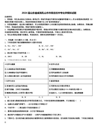 2024届山东省威海乳山市市级名校中考化学模拟试题含解析.doc