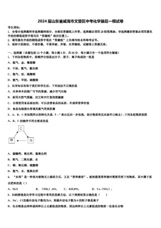 2024届山东省威海市文登区中考化学最后一模试卷含解析.doc