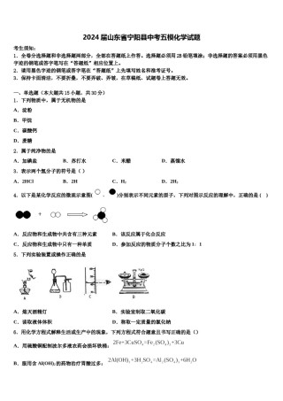 2024届山东省宁阳县中考五模化学试题含解析.doc