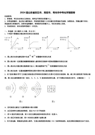 2024届山东省安丘市、高密市、寿光市中考化学猜题卷含解析.doc