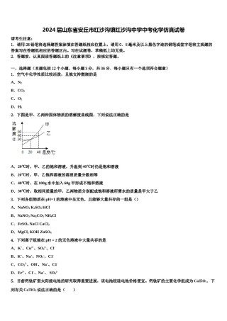 2024届山东省安丘市红沙沟镇红沙沟中学中考化学仿真试卷含解析.doc