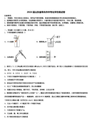 2024届山东省寿光市中考化学仿真试卷含解析.doc