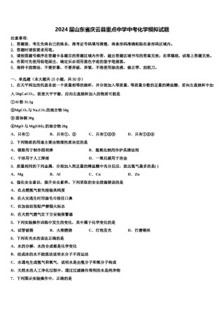2024届山东省庆云县重点中学中考化学模拟试题含解析.doc
