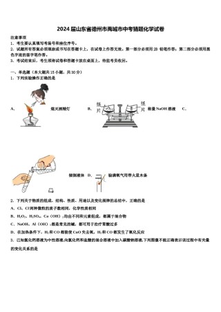 2024届山东省德州市禹城市中考猜题化学试卷含解析.doc