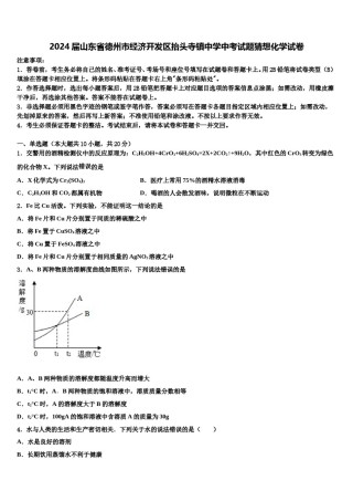 2024届山东省德州市经济开发区抬头寺镇中学中考试题猜想化学试卷含解析.doc