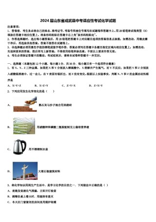 2024届山东省成武县中考适应性考试化学试题含解析.doc