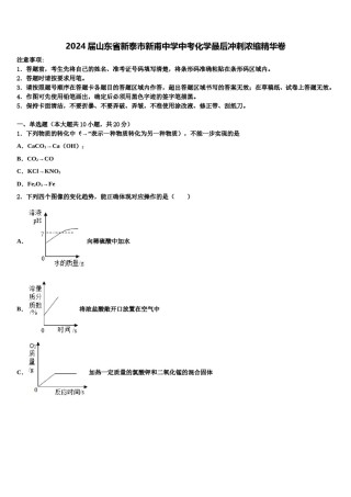 2024届山东省新泰市新甫中学中考化学最后冲刺浓缩精华卷含解析.doc
