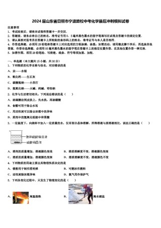 2024届山东省日照市宁波路校中考化学最后冲刺模拟试卷含解析.doc