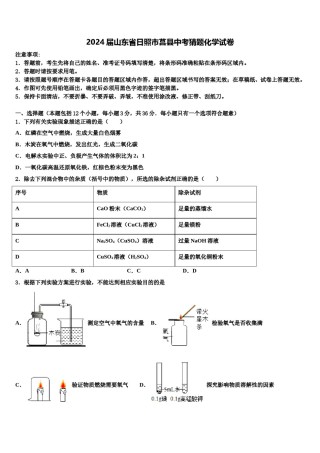 2024届山东省日照市莒县中考猜题化学试卷含解析.doc
