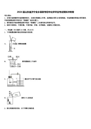 2024届山东省济宁金乡县联考初中化学毕业考试模拟冲刺卷含解析.doc