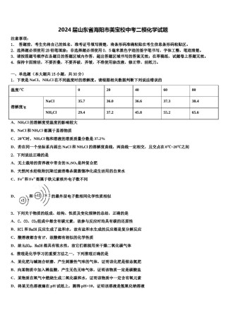 2024届山东省海阳市美宝校中考二模化学试题含解析.doc