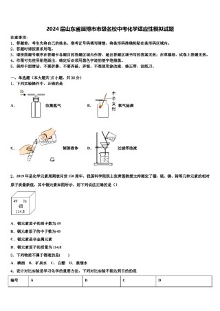 2024届山东省淄博市市级名校中考化学适应性模拟试题含解析.doc