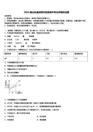 2024届山东省淄博市高青县中考化学模拟试题含解析.doc