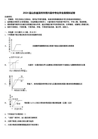 2024届山东省滨州市博兴县中考化学全真模拟试卷含解析.doc