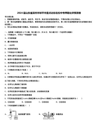 2024届山东省滨州市邹平市重点达标名校中考押题化学预测卷含解析.doc