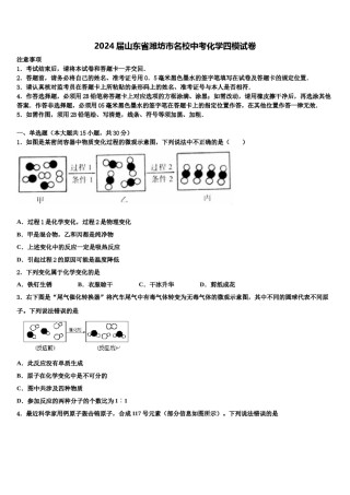 2024届山东省潍坊市名校中考化学四模试卷含解析.doc