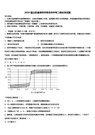 2024届山东省潍坊市寿光市中考二模化学试题含解析.doc