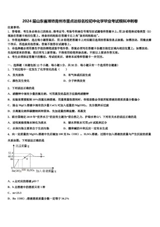 2024届山东省潍坊青州市重点达标名校初中化学毕业考试模拟冲刺卷含解析.doc