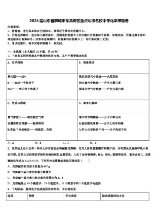 2024届山东省聊城市东昌府区重点达标名校中考化学押题卷含解析.doc