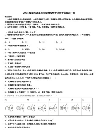 2024届山东省莱芜市实验校中考化学考前最后一卷含解析.doc