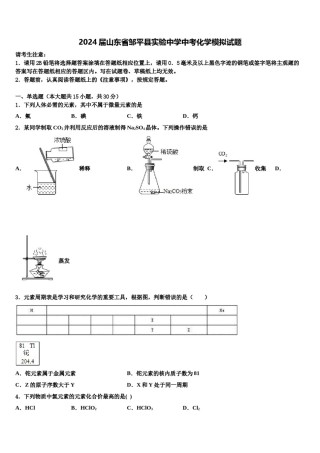2024届山东省邹平县实验中学中考化学模拟试题含解析.doc